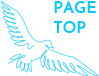 pagetop