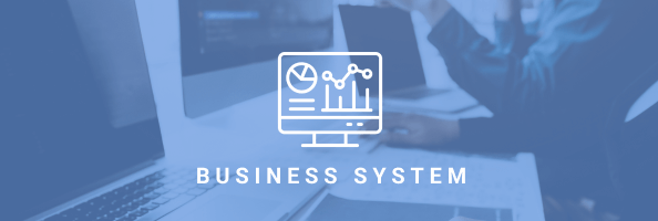 Business System